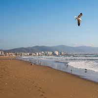 Conoce el protocolo sanitario para uso de playas en el norte de Chile